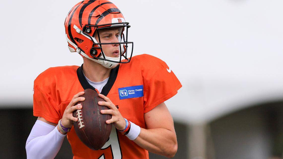 AFC North: Bengals with Burrow, Ravens running, Steelers in transition, Browns in turmoil