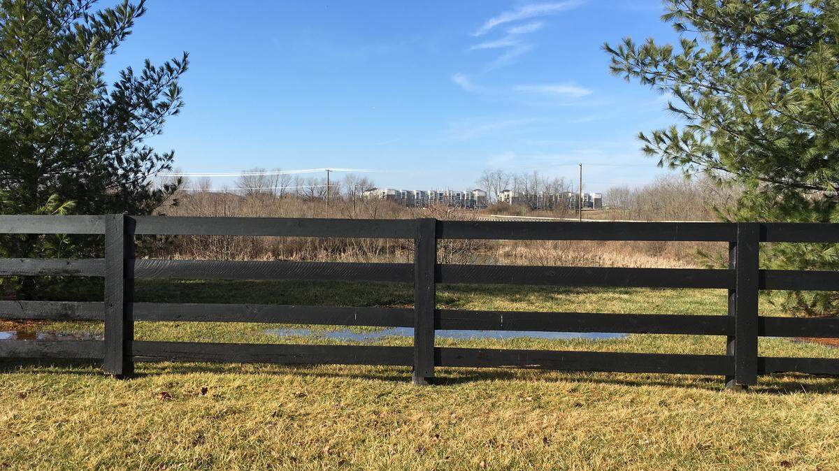 Existing Ball Homes development Blackford Oaks Place sits near the property where Ball Halmes wants to build a large apartment complex. in the 6000 block of Man o’ War Boulevard. This photo shows scenery looking toward Polo Club Boulevard.