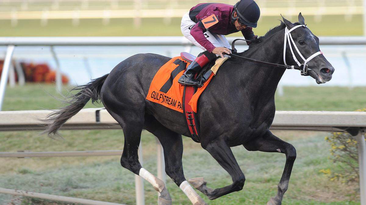 Florida Derby Horse Racing