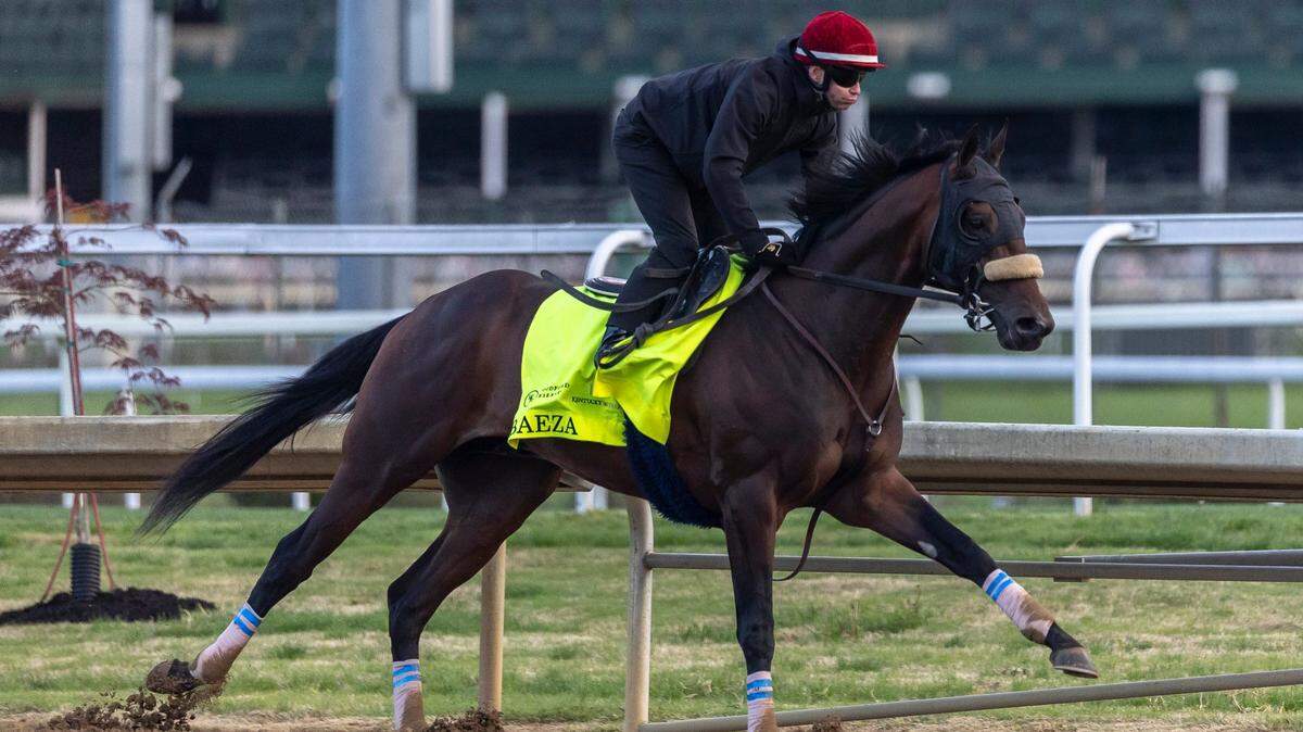 There’s a new horse to know in the 2025 Kentucky Derby starting gate