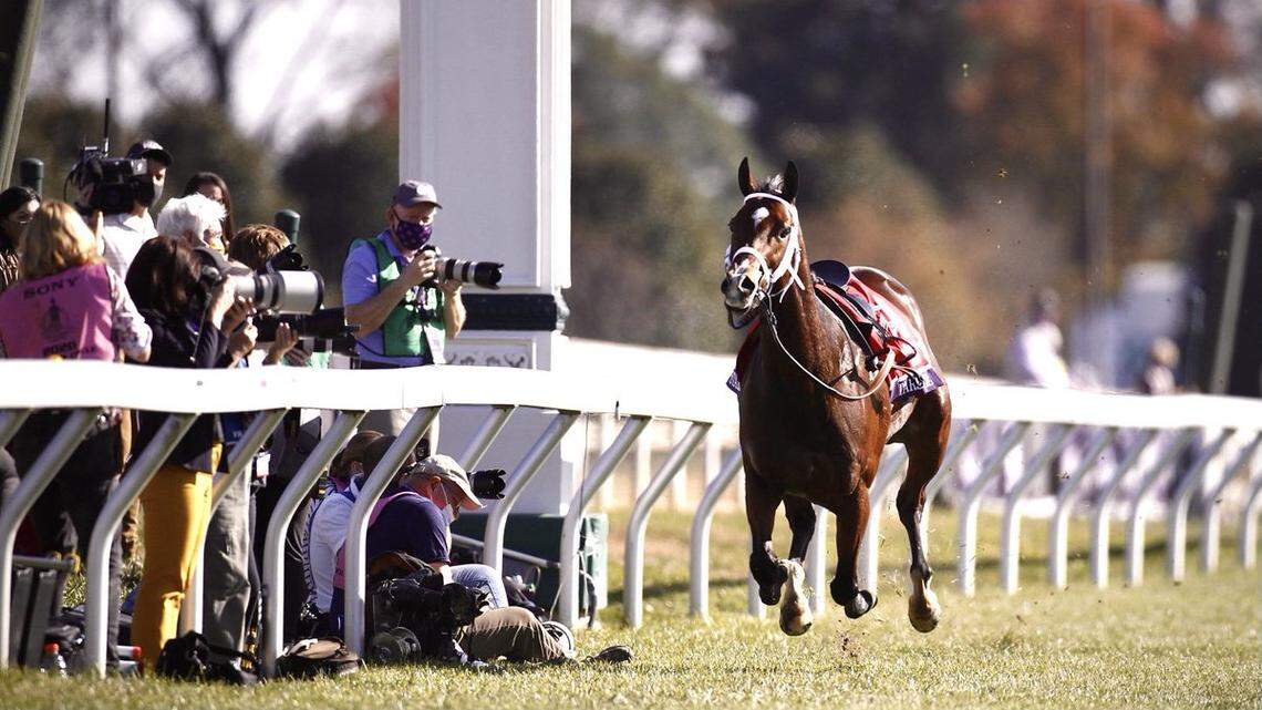 Riderless horse runs loose on turf course in Breeders’ Cup race at Keeneland