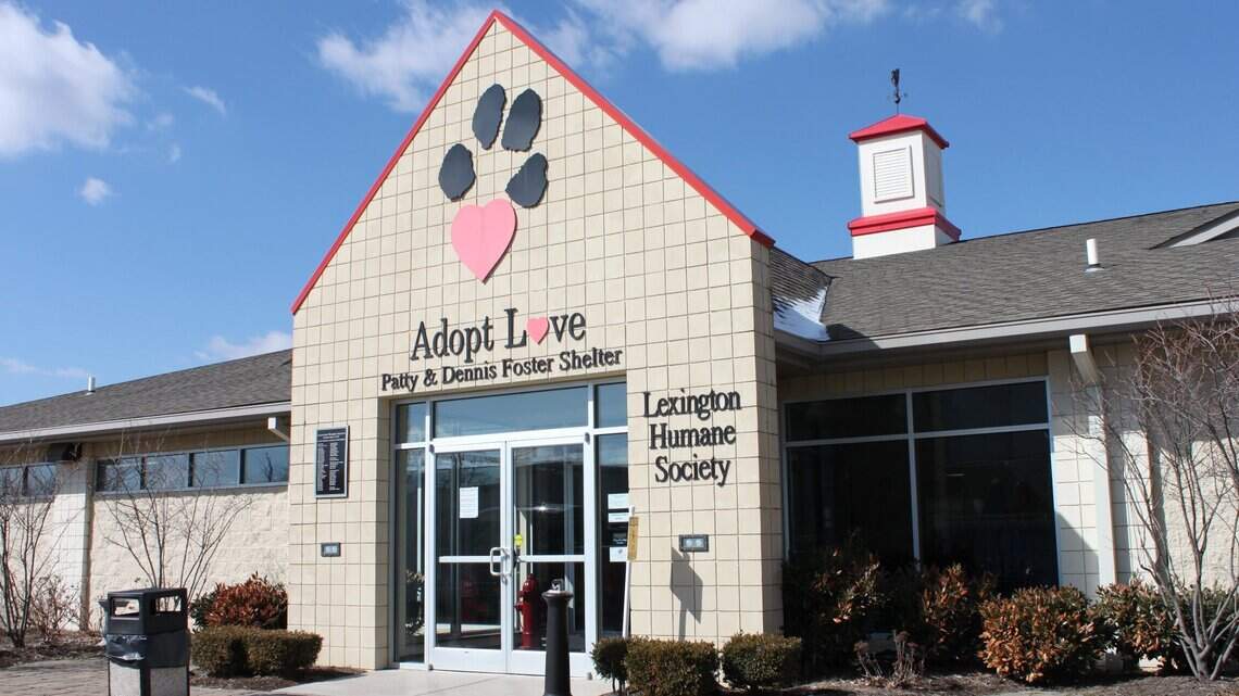 Central KY animal shelters ‘pushed to the brink’ with overcrowded facilities, lack of space