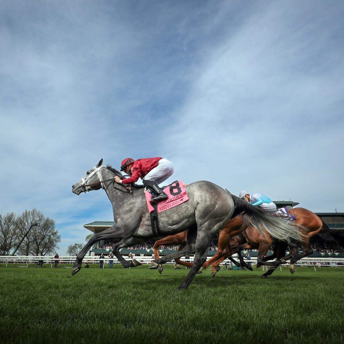 Caravel is undefeated in her three career starts at Keeneland following a first-place finish in Saturday’s Grade 2 Shakertown Stakes.