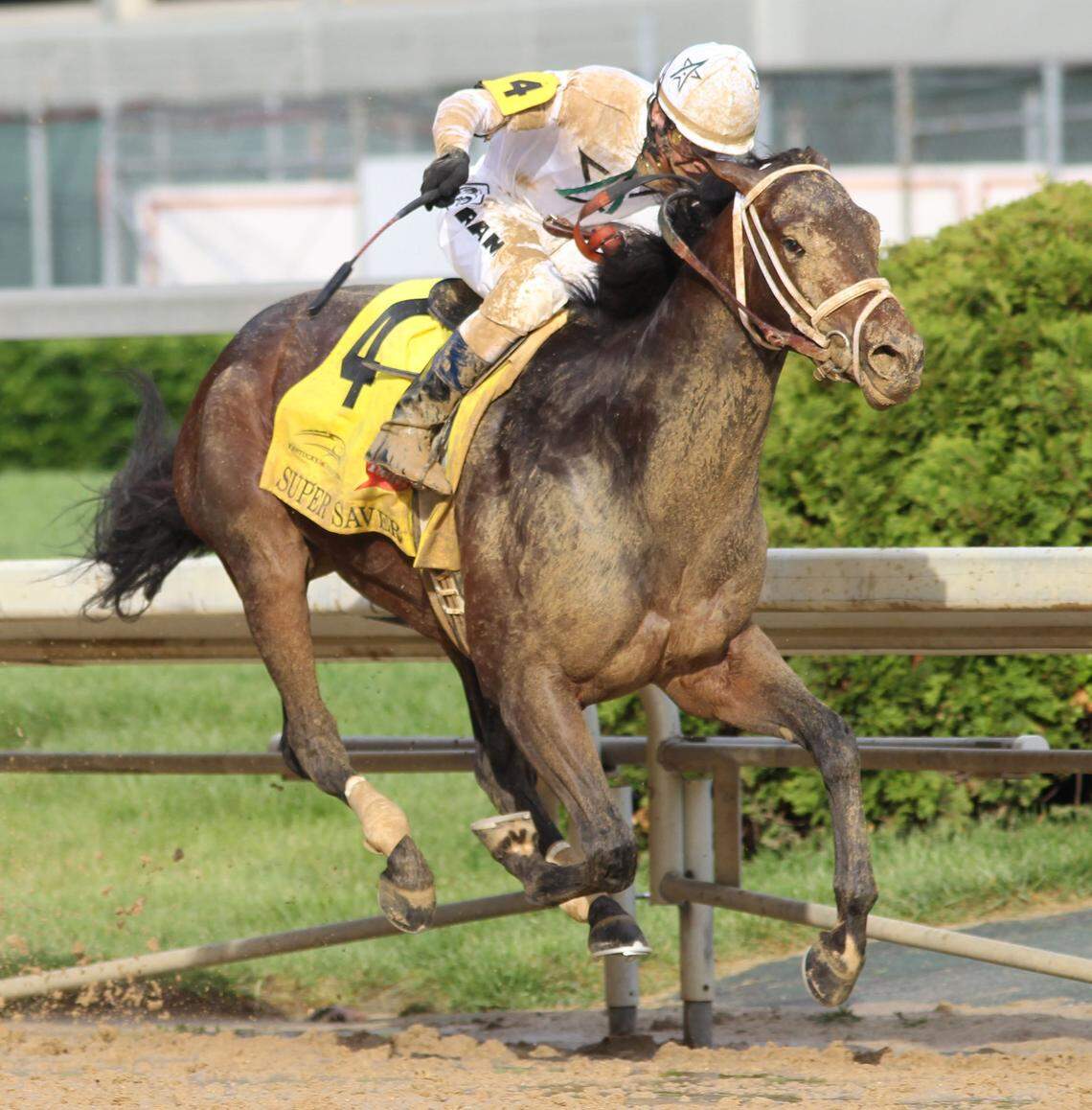 Super Saver with Calvin Borel up in the stretch of the 136th running of the Kentucky Derby at Churchill Downs on May 1, 2010.