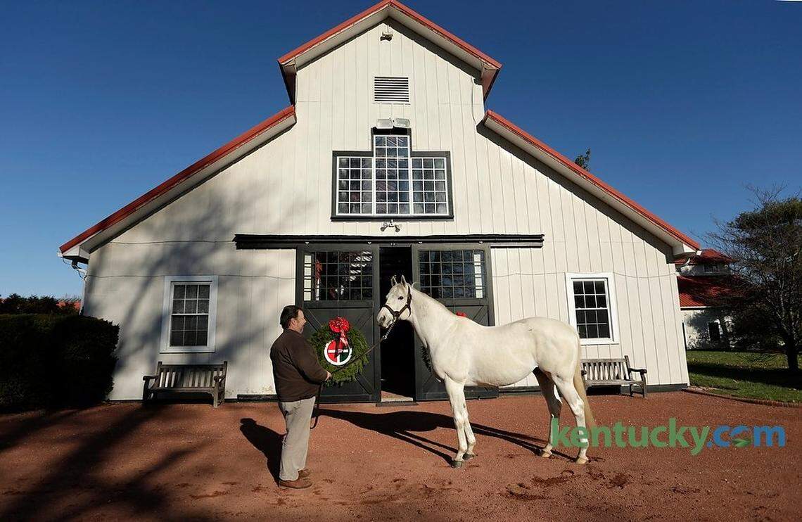 The "Top Chef" producers also visited Gainesway Farm in Lexington, where they met top stallion Tapit, here held by James Kennon.