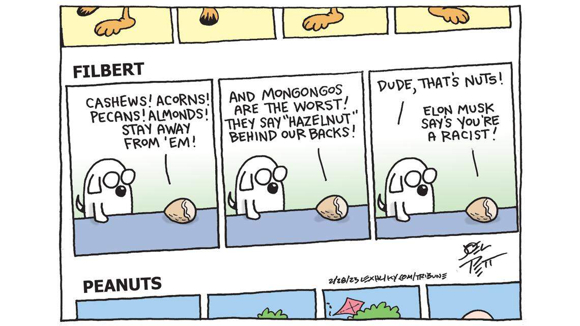 Joel Pett: Who’s the real nut?