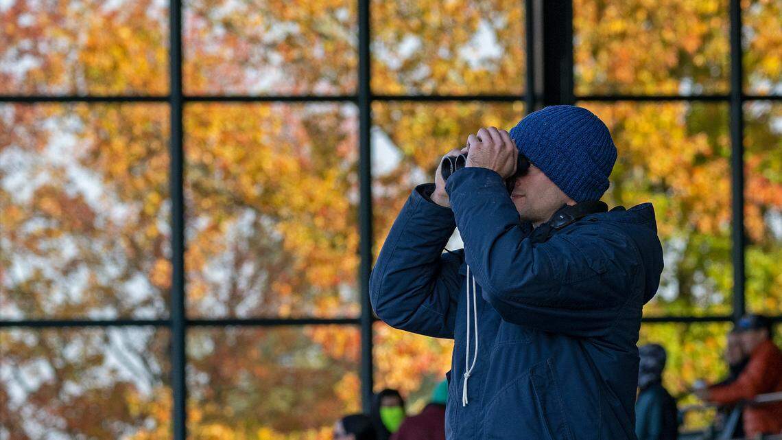 Breeders’ Cup weekend: What to do, watch parties, live music and more Lexington events