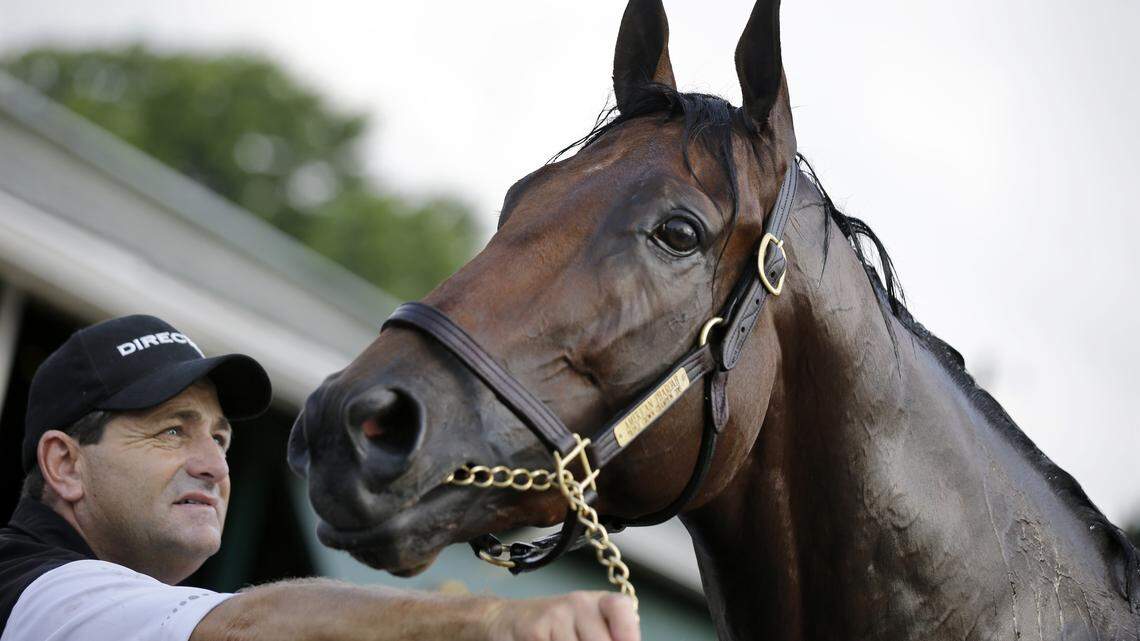 Haskell American Pharoah Horse Racing