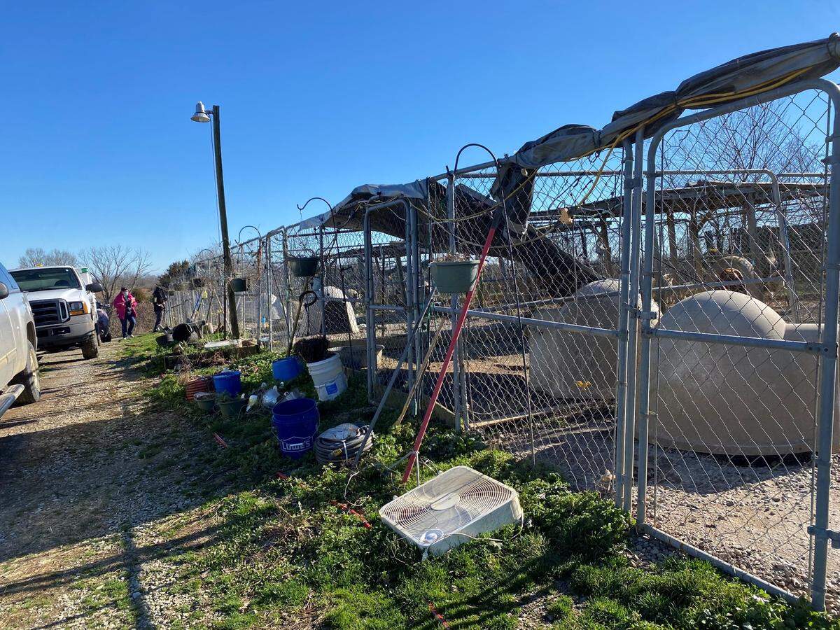 A photo shows the unsanitary conditions over 100 dogs lived in at a single property in Spencer County.