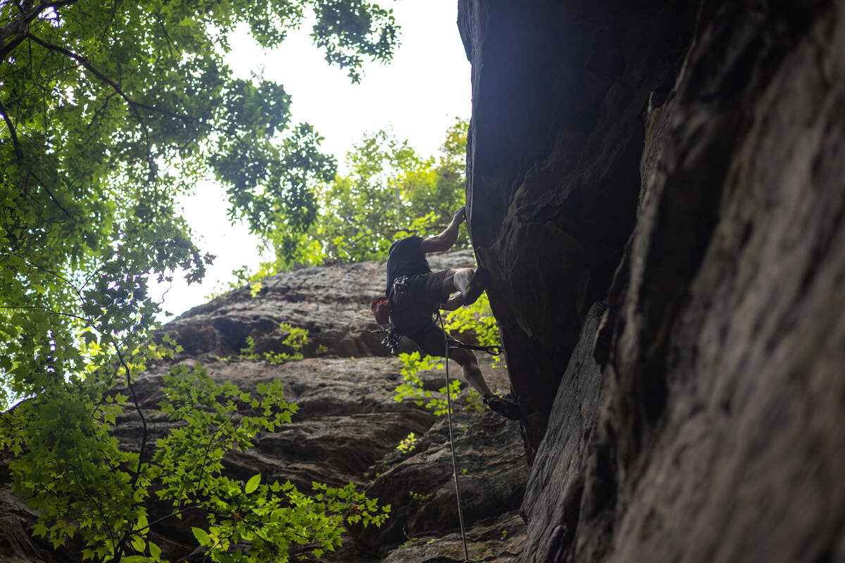A man in a black shirt, attached to a rope, climbs a rock wall surrounded by trees.
