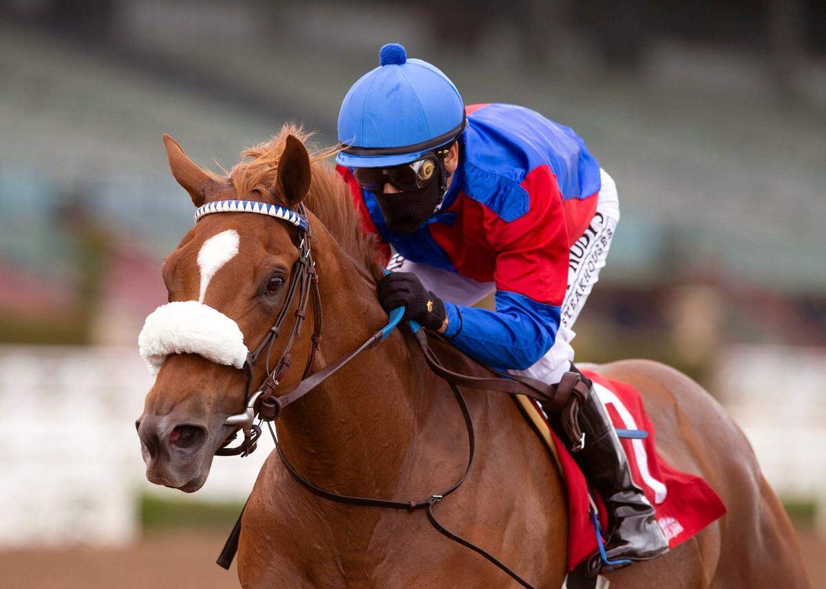 Swiss Skydiver, trained by Lexington native Kenny McPeek, will face males for the first time in Saturday’s Toyota Blue Grass Stakes at Keeneland.