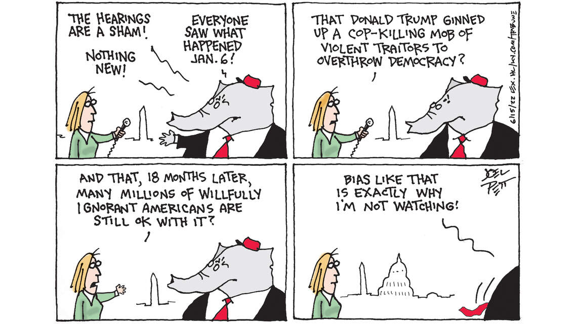 Joel Pett: In denial of denial about Jan. 6