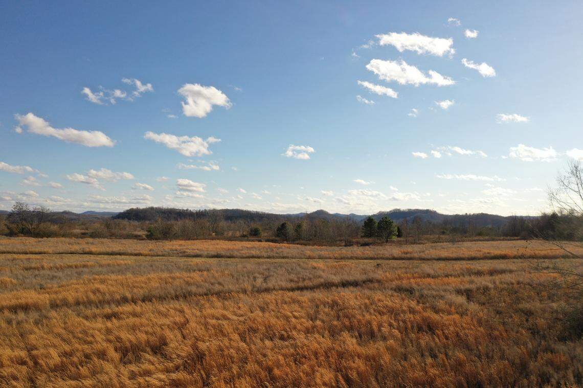 The land where the Olive Branch community is planned to be built.