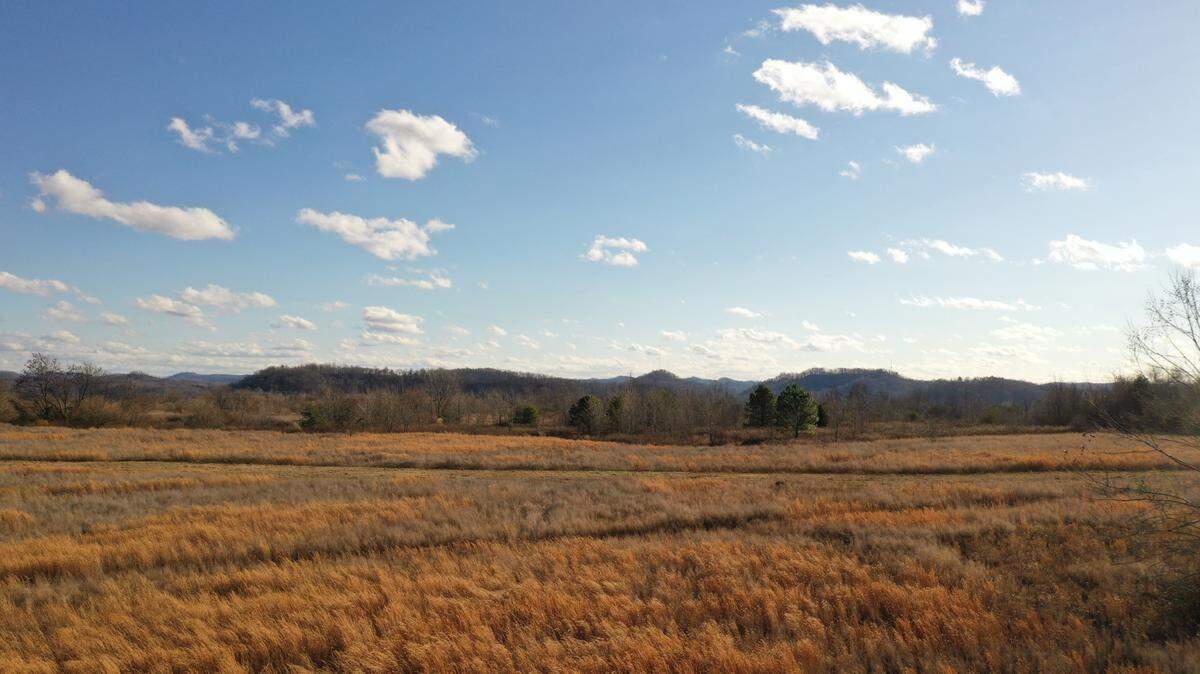Donated Knott County land will be site of new housing community for Eastern KY flood victims