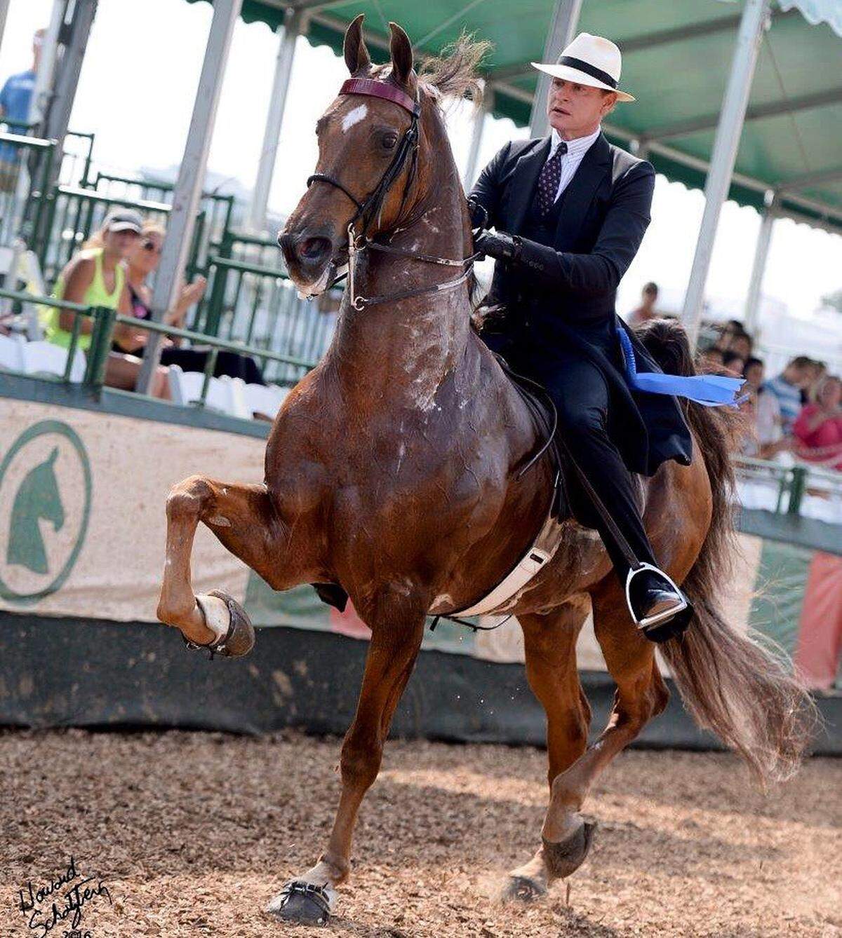 Carson Kressley, known for TV’s “Queer Eye for the Straight Guy,” will be at this weekend’s EQUITANA USA at the Kentucky Horse Park.