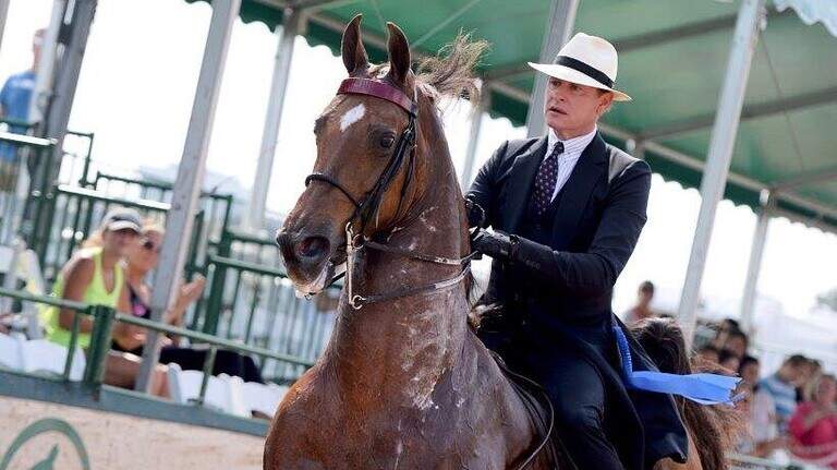 Carson Kressley, WWE & more: The 16 best things to do in, around Lexington this weekend