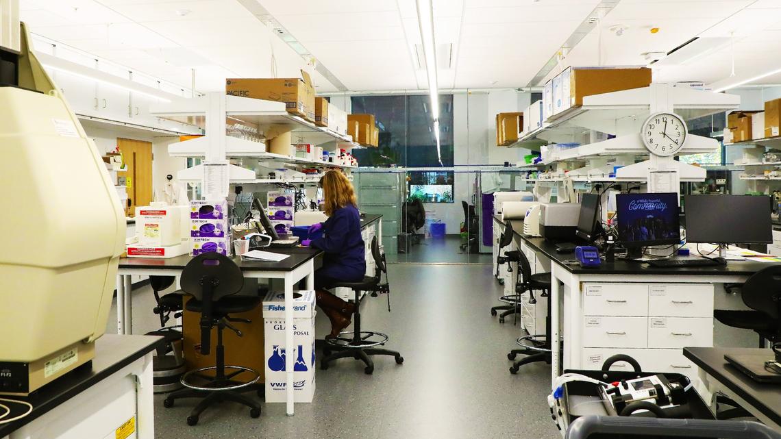 A researcher utilizing the abundance of workspace, resources and supplies in the University of Kentucky’s Healthy Kentucky Research Building on November 26, 2024, in Lexington. NIH cuts threatens a variety of medical research.