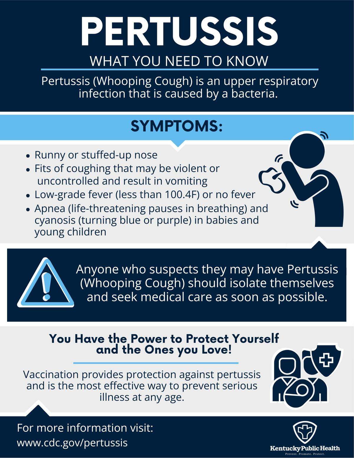 A whooping cough infographic from the Kentucky Department for Public Health.