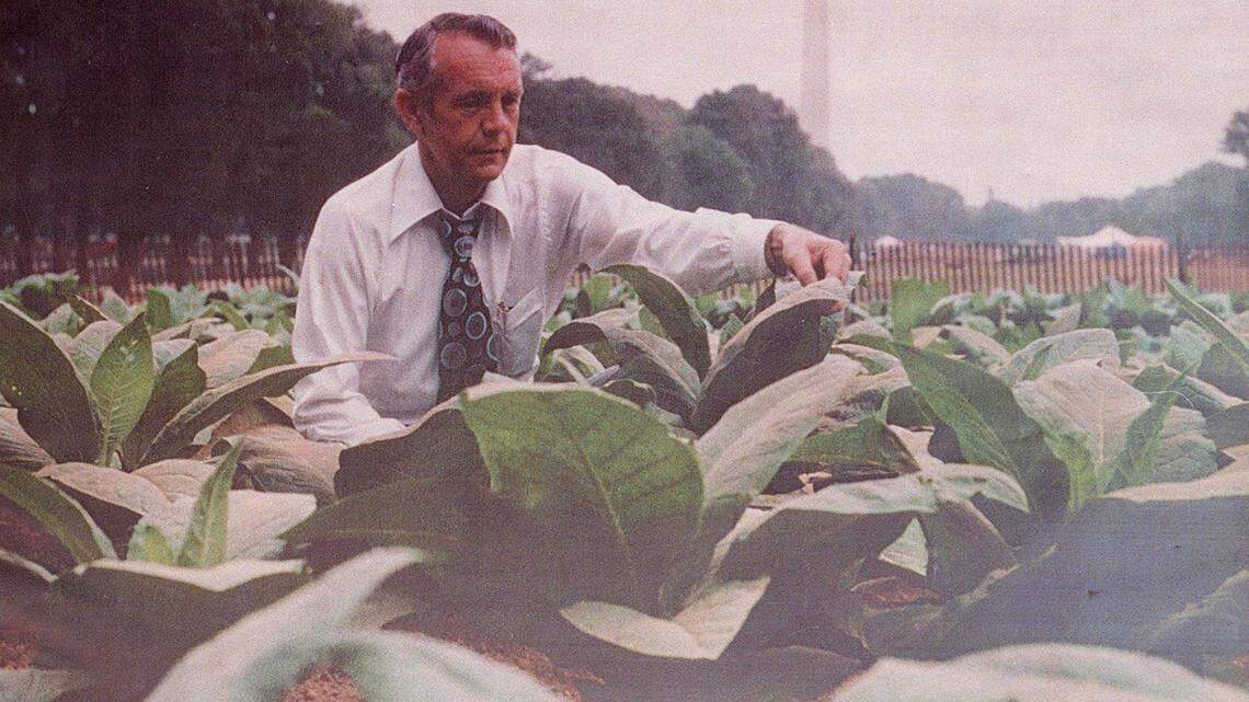 Senator Ford stood in the middle of a tobacco patch on the Washington Mall in this undated photo.
