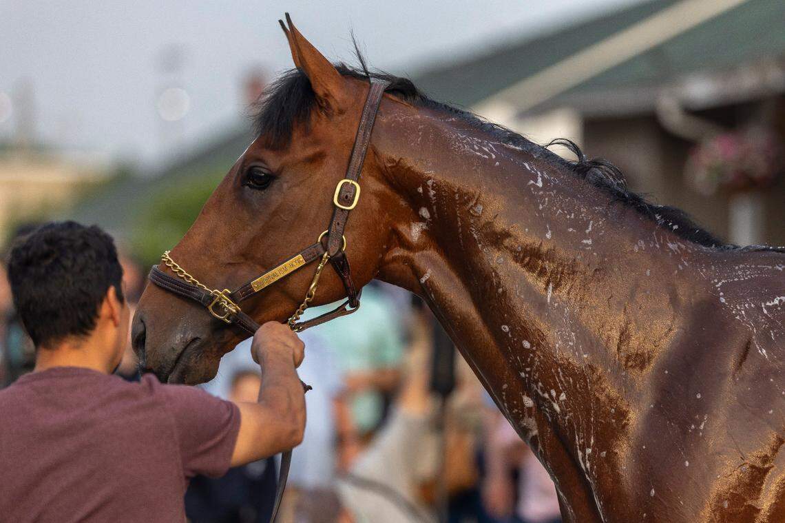 Kentucky Derby 151 morning-line favorite Journalism is bathed following morning workouts at Churchill Downs on Tuesday.