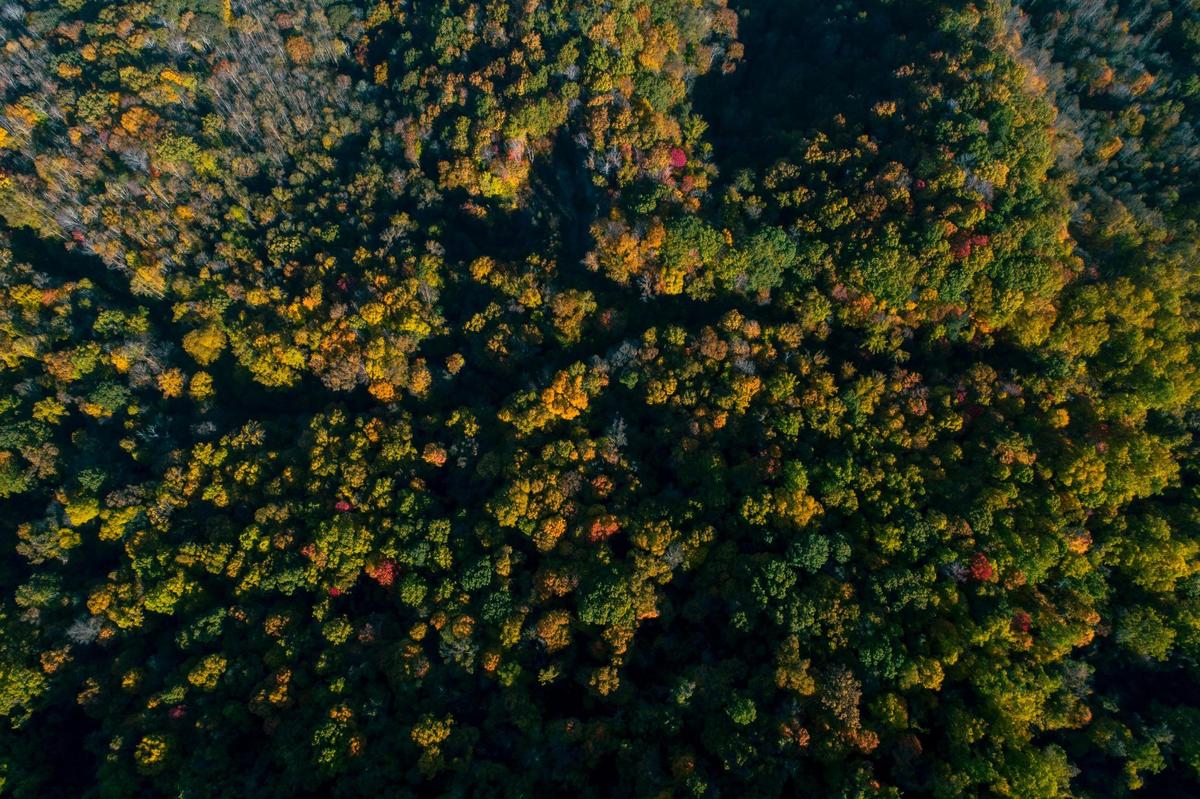 Kingdom Come State Park, Friday, Nov. 5.