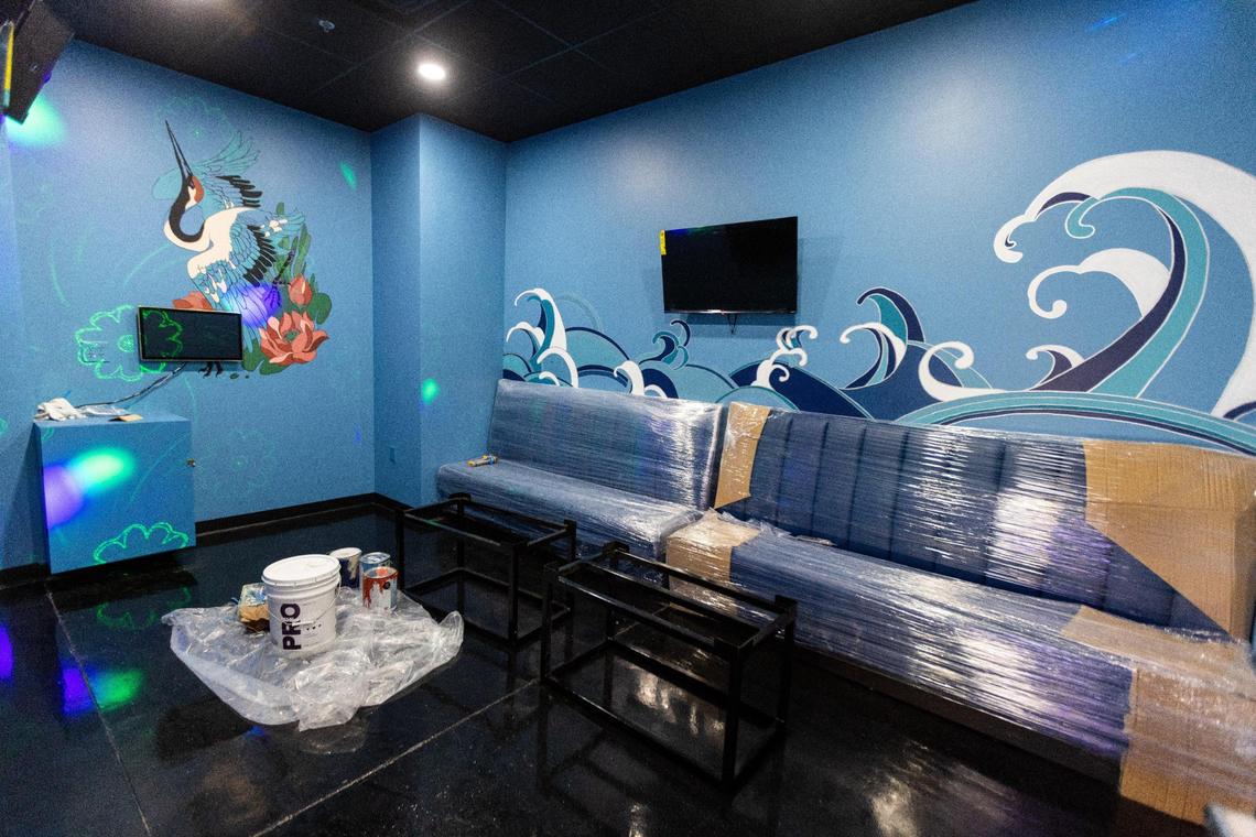 One of multiple private karaoke rooms within Night Kitty Karaoke Bar.