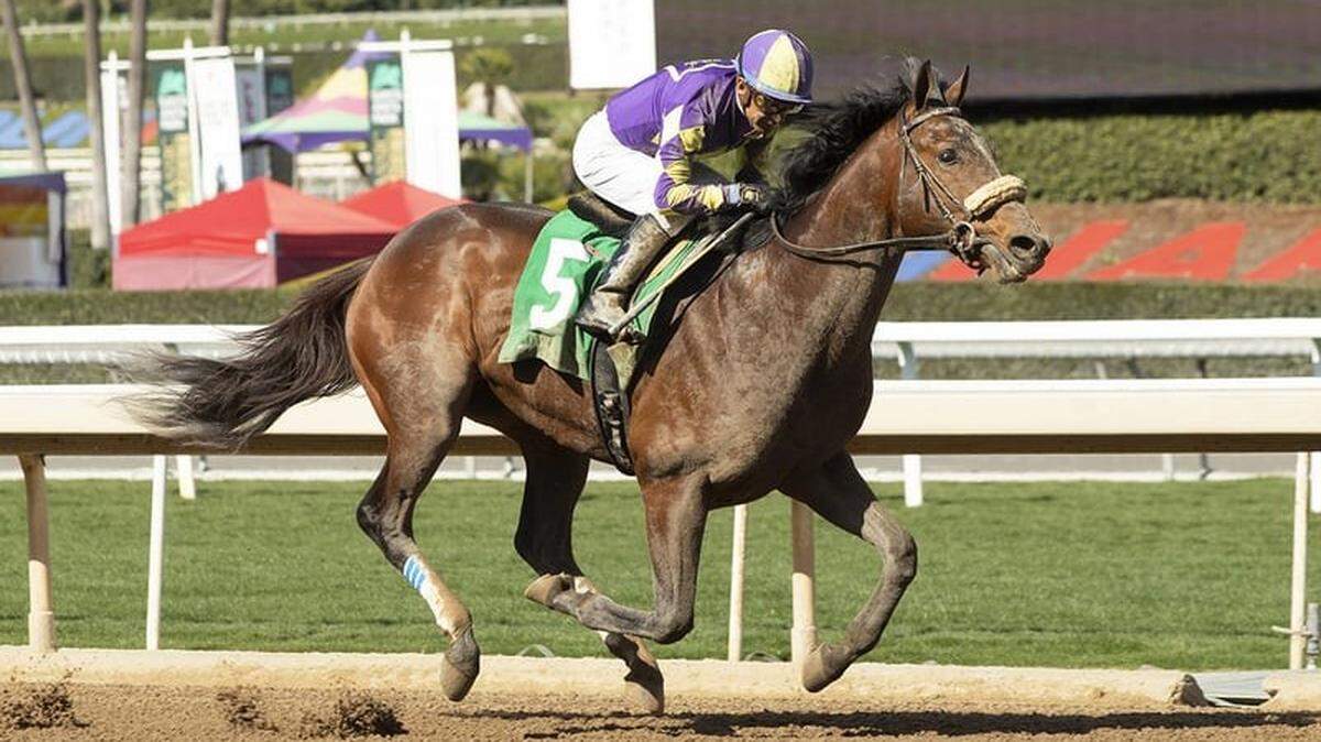 Another day, another Kentucky Derby dropout. Field down to 19 horses after fourth scratch.