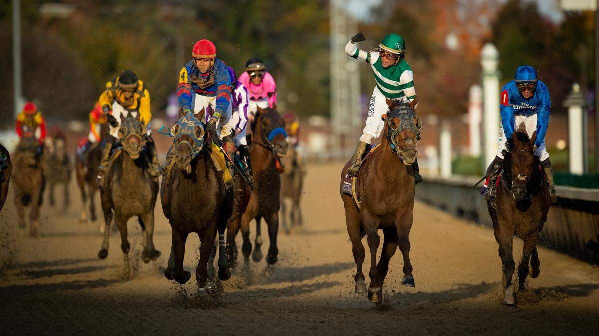 Accelerate, with Joel Rosario up, won the Classic and delivered the first Breeders’ Cup victory for trainer John Sadler.