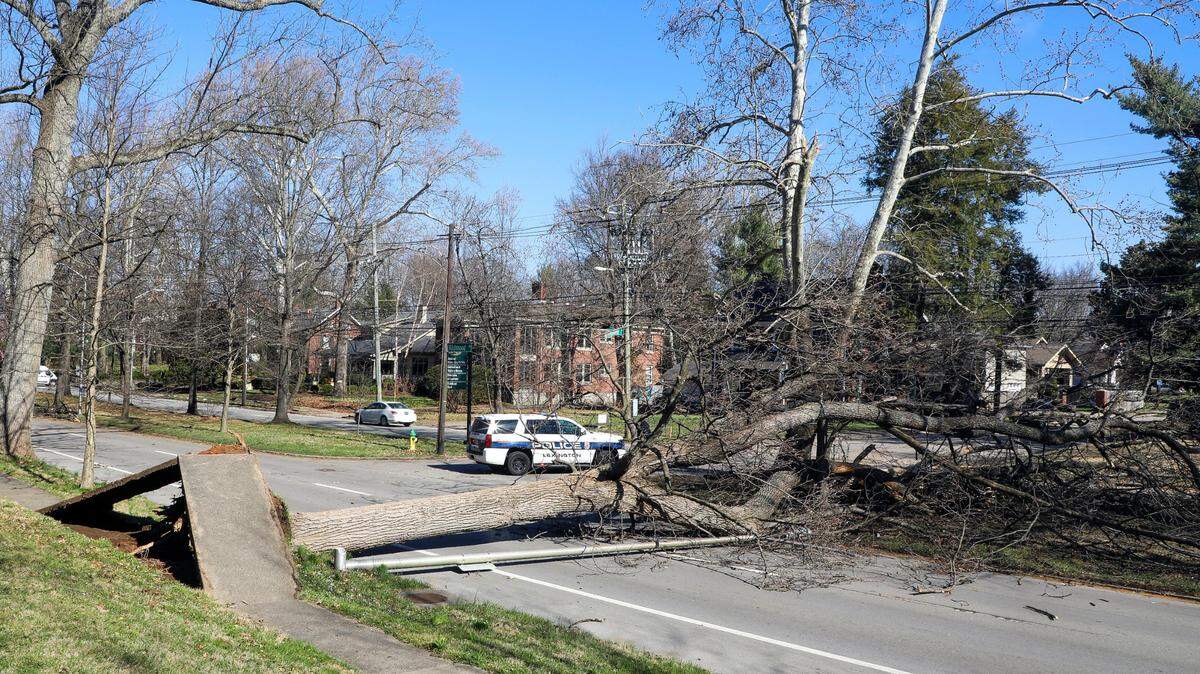 Calipari offers condolences to storm victims after UK’s win. ‘Maybe it picked them up …’