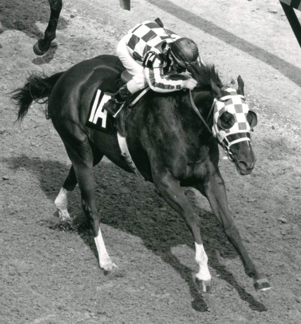 The blue and white checkerboard featured in recent years in the Kentucky Wildcats football and men’s basketball uniforms is intended as an homage to the Meadow Stable racing silks of the great Secretariat, shown winning the 1973 Kentucky Derby.