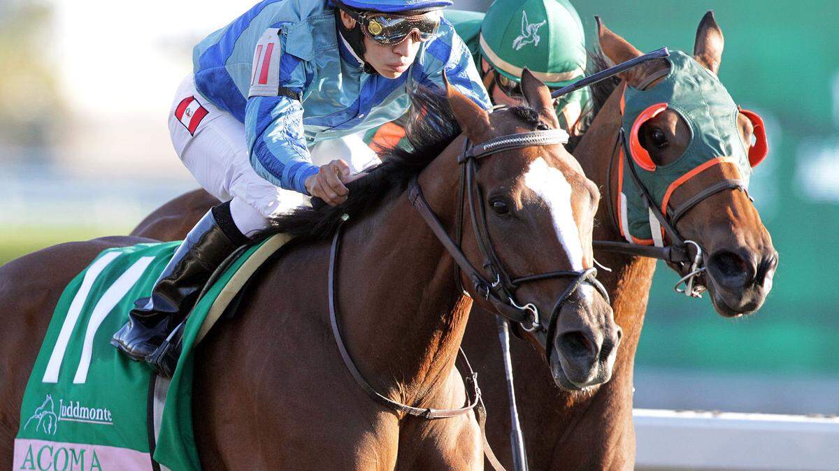ACOMA - The Juddmonte Spinster ( Grade I) 55th Running - 101010