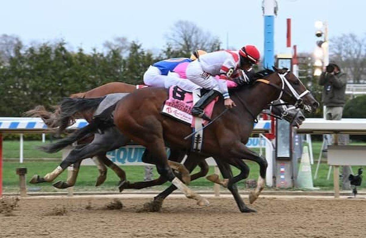 Lord Miles (8) won the Wood Memorial at Aqueduct by a nose over Hit Show in his final Kentucky Derby prep race on April 8.