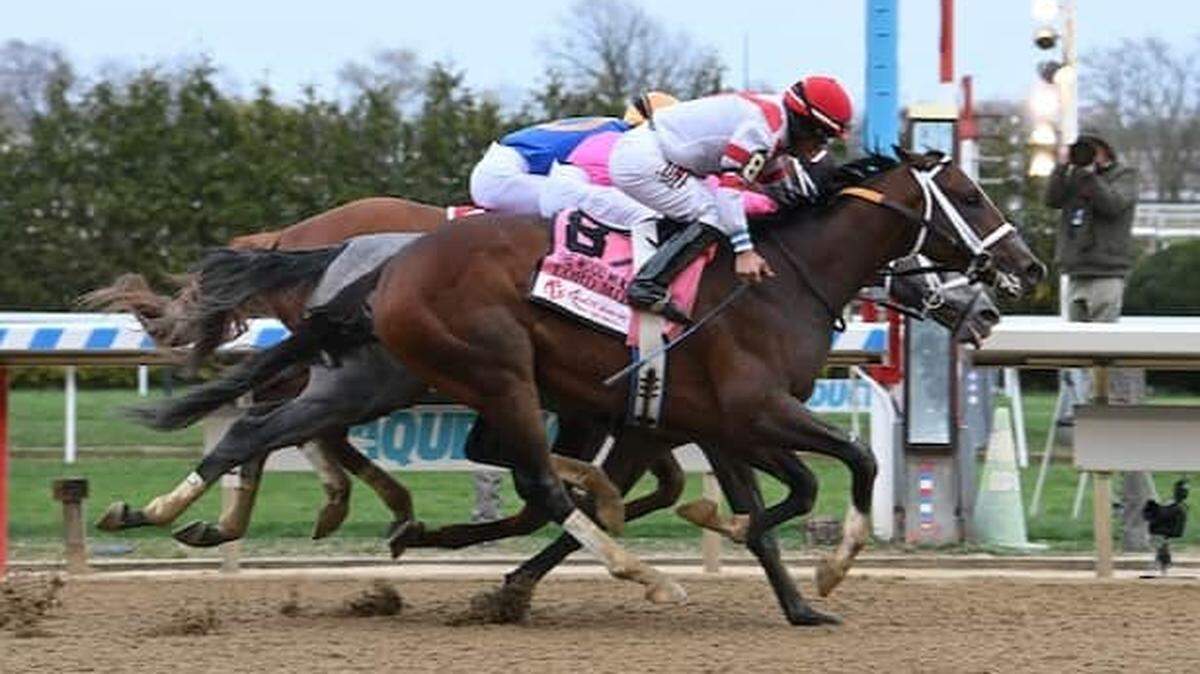 Lord Miles won the Wood Memorial at 59-1 odds. Does he have any magic left for the Derby?