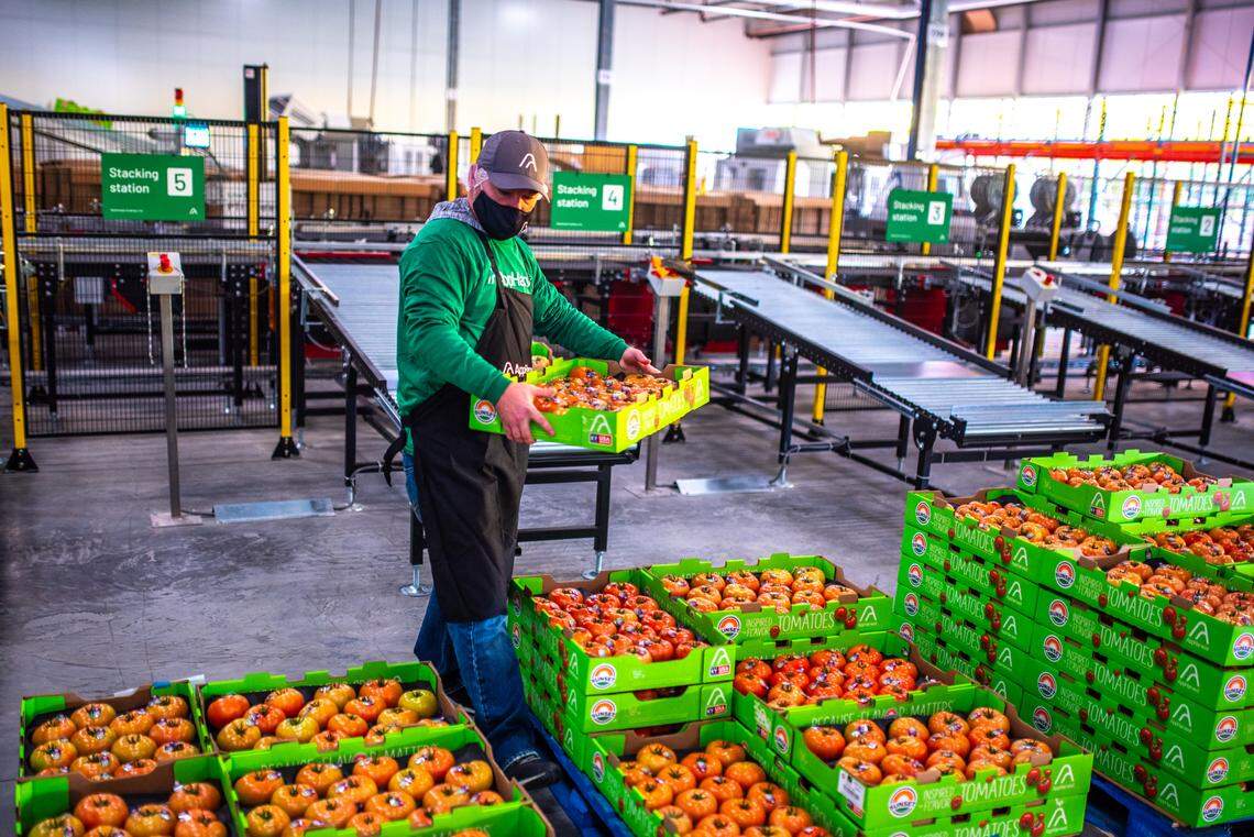 The first AppHarvest tomatoes were delivered to grocery stores last year.