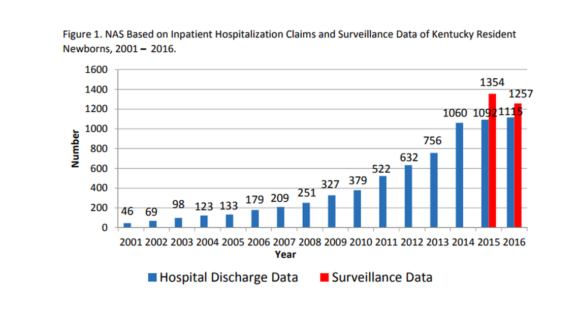 The number of Kentucky newborns dependent on dangerous, addictive drugs steadily has climbed since 2001, according to state data.