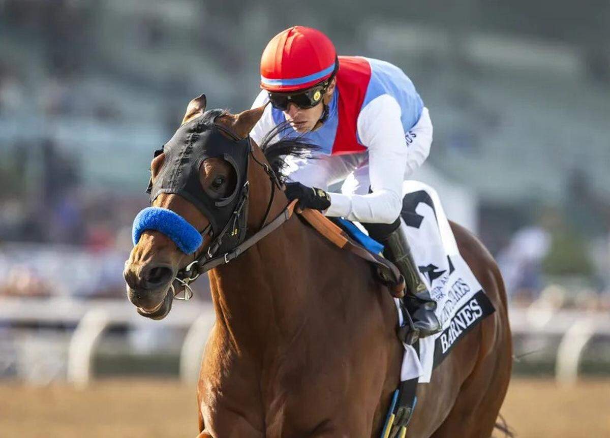 Barnes, winner of the Grade 2 San Vicente Stakes at Santa Anita on Jan. 4, was the top individual choice at 8-1 after betting closed for Kentucky Derby Future Wager Pool 4.