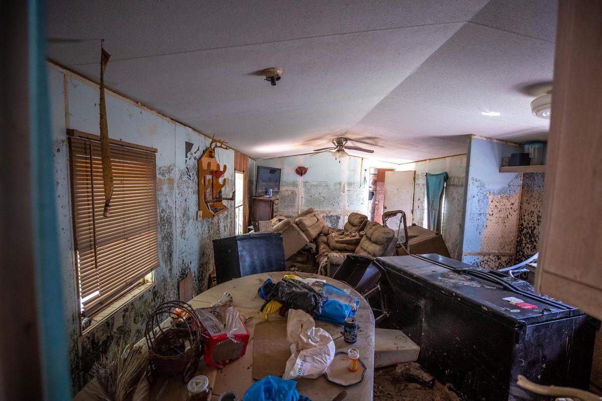 Mold grows on the walls of Wiley Messer’s home in Perry County, Ky., on Tuesday, Aug. 23, 2022. The home was severely damaged by flood waters last month.