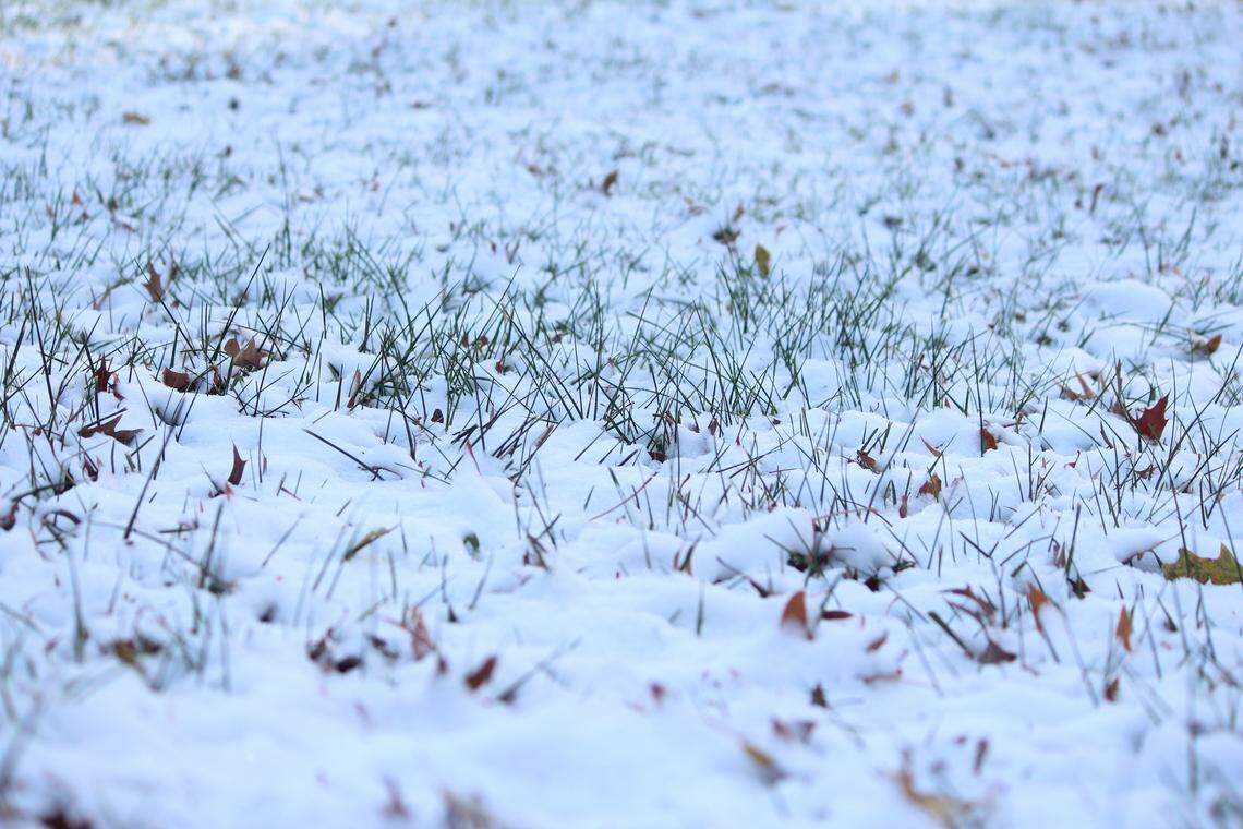 The average date of the first measurable snow accumulation in Lexington over the last 40 years is Dec. 6.