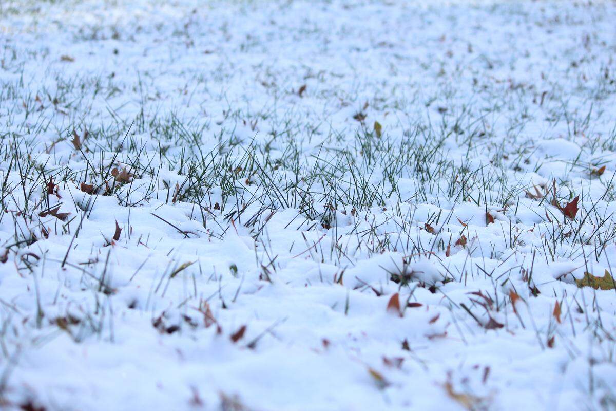 The average date of the first measurable snow accumulation in Lexington over the last 40 years is Dec. 6.