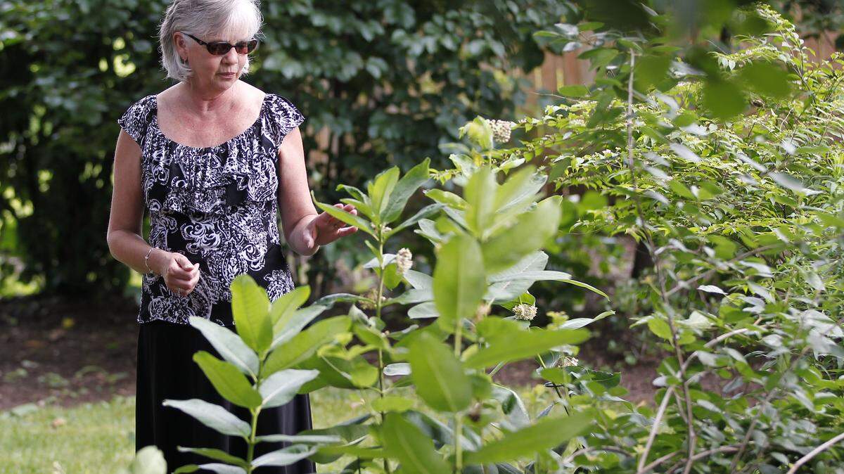 Sylvia Kirby, president of the Kentucky Garden Club, is working with gardeners to establish "monarch way stations" for butterflies that are increasingly endangered by development. All it takes is planting milkweed. Photo by Mark Cornelison | Staff