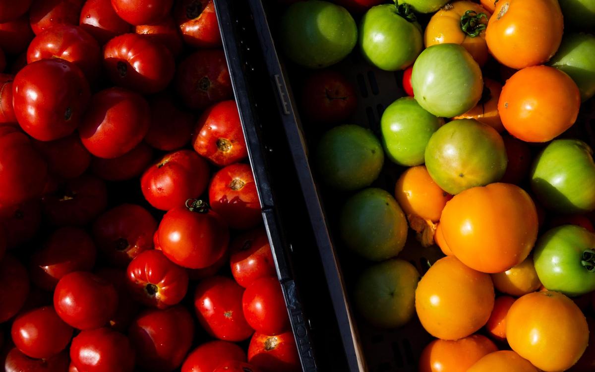 Greater Gardenside held its first market June 10, 2020.