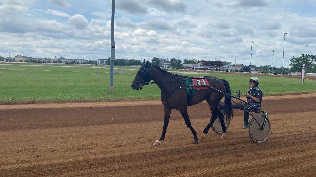 Anette Lorentzon, who trains a large stable at her farm in Paris, said 12 new harness racing dates is a good start for Kentucky. “It’s not just for the big guys,” she said. “It’s important to have the small guys be able to make a living training horses.”