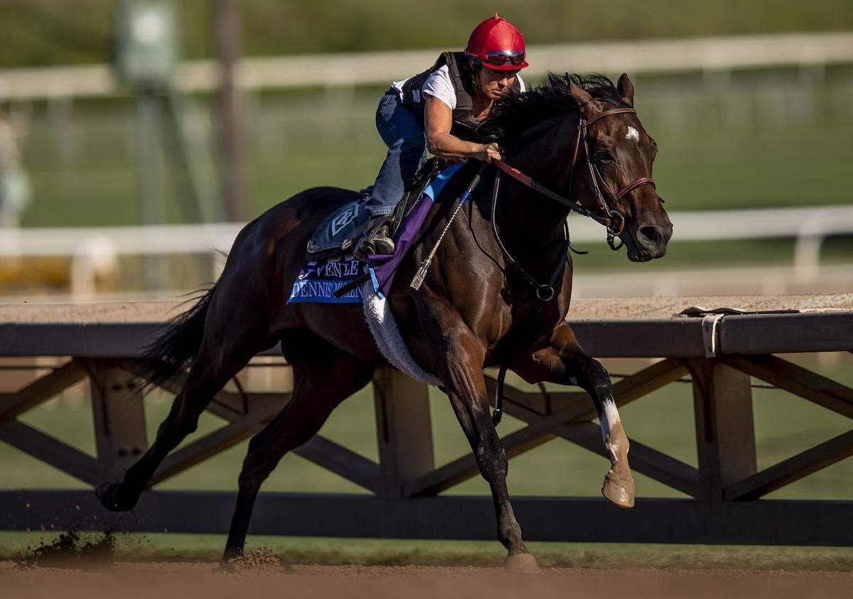 Dennis’ Moment was the heavy favorite in last year’s Breeders’ Cup Juvenile before stumbling badly at the start and finishing last.