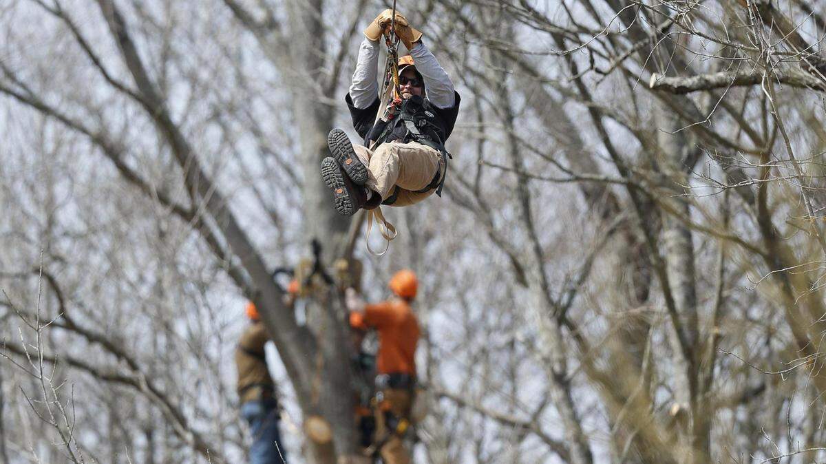 Lexington's Board of 
Adjustments  was granted an injunction on Thursday to stop zip line tours at Boone Creek Outdoors. The city contended that the tours violated a conditional-use permit for the property on Old Richmond Road.  