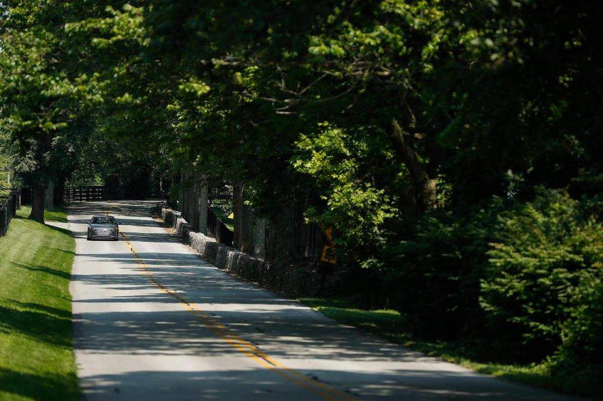 A motorist drove along Delong Road in Lexington Friday. To accommodate population growth in Fayette and Jessamine counties, the Kentucky Transportation Cabinet and the Lexington Area Metropolitan Planning Organization have proposed possible changes to the Delong. The work would possibly include realigning Delong Road to address sharp curves and a one-lane bridge along with a slight change to the Delong Road and Tates Creek Road intersection to improve sight lines.