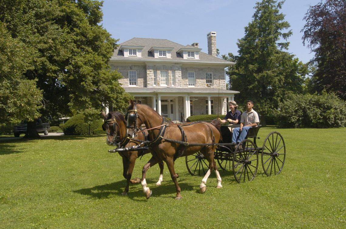 THURSDAY, JUNE 24, 2004. LEXINGTON, KY. Elizabeth Brown and Ramon Escobar show “Pepper” and “Never” (horses) on the front lawn at Elmendorf Farm on Thursday, June 24, 2004 in Lexington, Ky. Farm owner Dinwiddie Lampton has brought a resurgnece to venerable Elmendorf by remodeling buildings and housing standardbred horses for use in his coach driving competitions at horse shows (like the Lexington Junior League Horse Show).