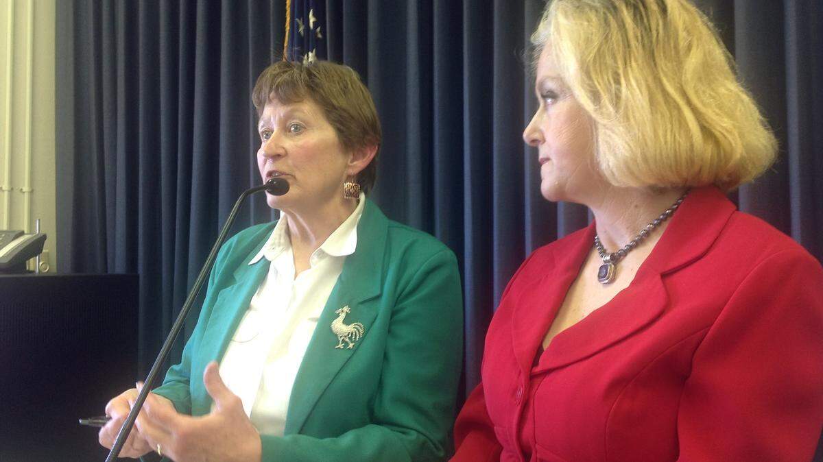 Rep. Mary Lou Marzian, D-Louisville, left, and Sen. Kathy Stein, D-Lexington, introduce a wide-ranging gun control bill on Feb. 7, 2013. Photo by Jack Brammer | Staff