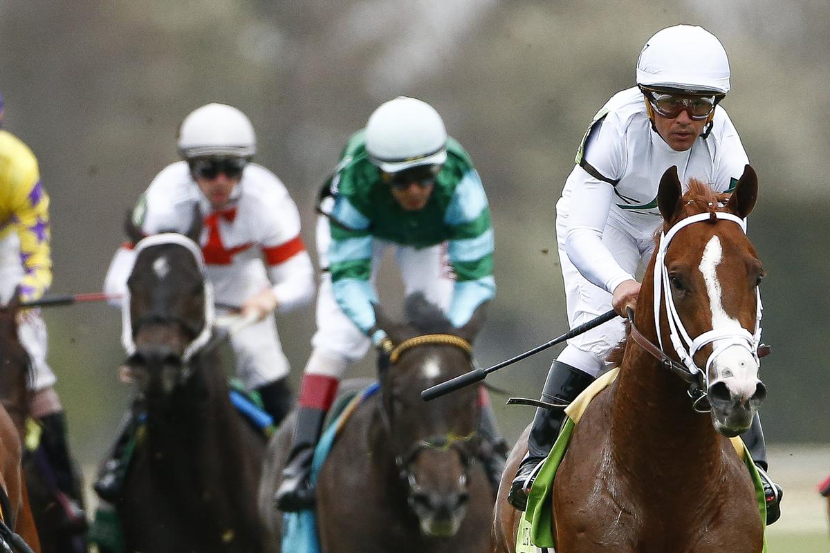 Bulletin (12) with Javier Castellano up won the first running of The Palisades Turf Sprint at Keeneland on Thursday.