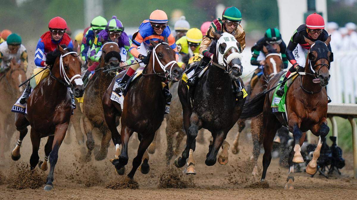 What happened to Fierceness, West Saratoga and all the other 2024 Kentucky Derby also-rans?