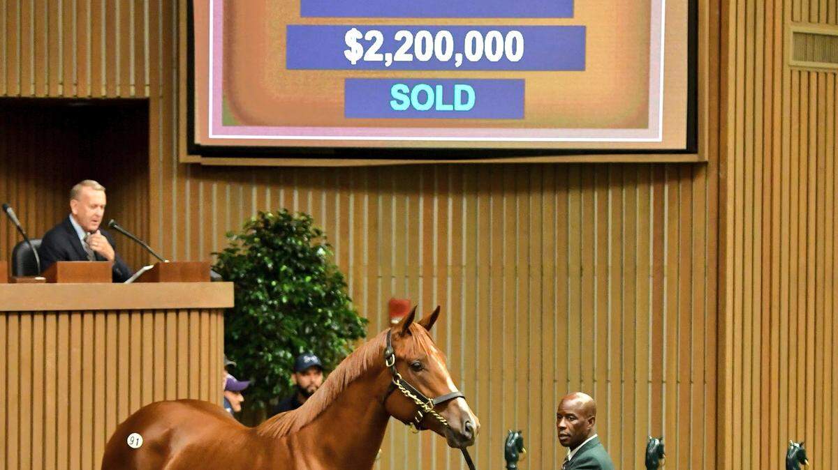 A colt by 2015 Triple Crown winner American Pharoah sold for $2.2 million on Monday afternoon at the Keeneland September Yearling Sale. The sale cataloged 81 yearlings from the first crop of American Pharoah, who stands at stud at Ashford Stud in Woodford County.